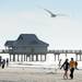 Michigan fans walk along the shore during beach day in Clearwater, Fla. on Sunday, Dec. 30. Melanie Maxwell I AnnArbor.com